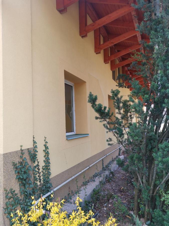 Appartamento Podlovics Tanya Panzio Kemecse Esterno foto