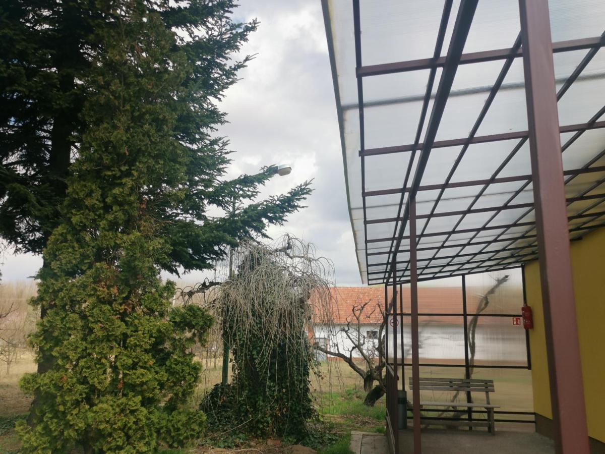 Appartamento Podlovics Tanya Panzio Kemecse Esterno foto