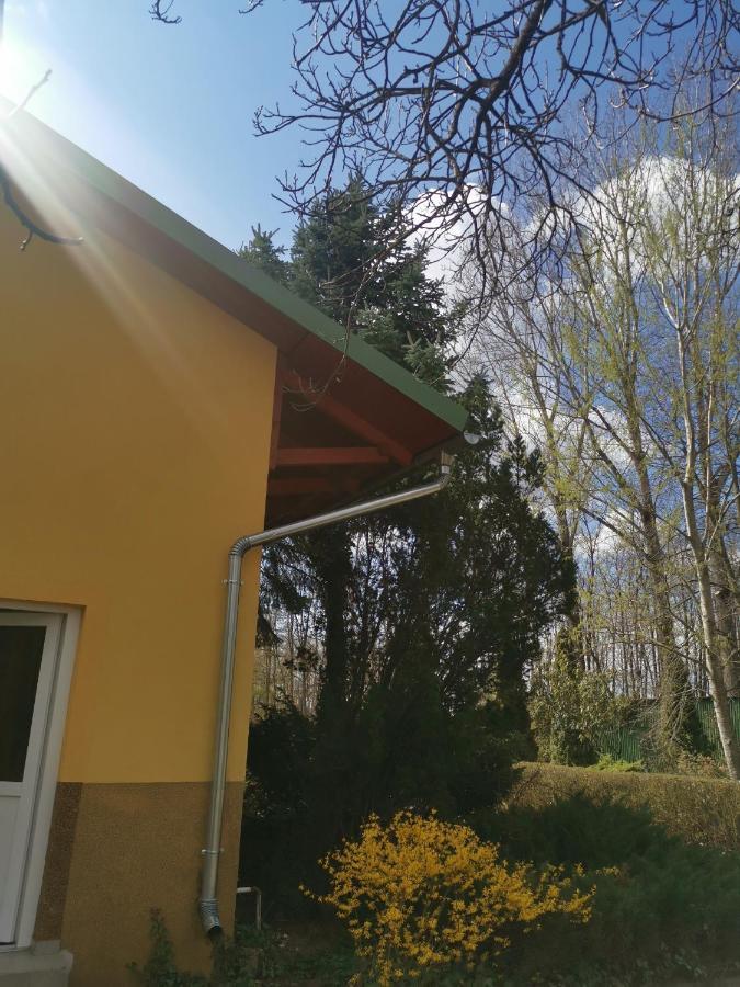 Appartamento Podlovics Tanya Panzio Kemecse Esterno foto